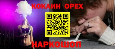 крисы Краснодар