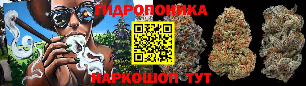 Каннабис план Елец